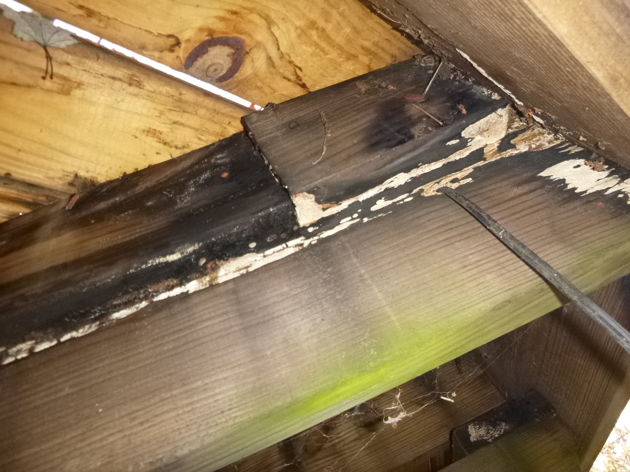 Top 5 Most Common Deck Defects Gingles Inspections Branson Home top-5-most-common-deck-defects-gingles-inspections-branson-home